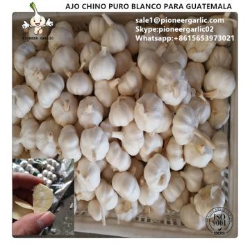 Chinese Fresh Pure White Garlic Exported to Guatemala