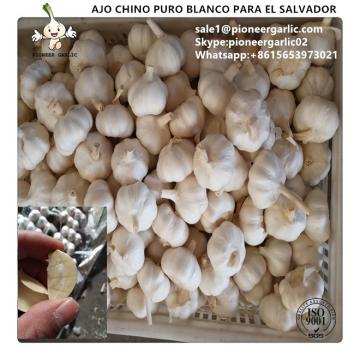 Chinese Fresh Pure White Garlic Exported to El Salvador