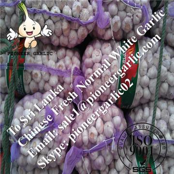 Chinese Fresh Normal White Garlic Exported to Sri Lanka Market
