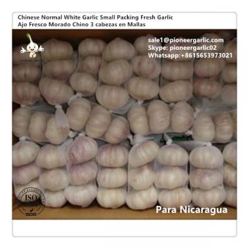Chinese Fresh Snow White Garlic Exported to Nicaragua