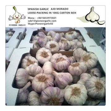 Chilean Fresh Normal White Garlic Exported to Worldwide