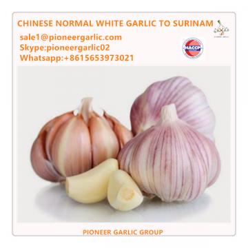 Chinese Fresh Normal White Garlic Exported to Suriname Market