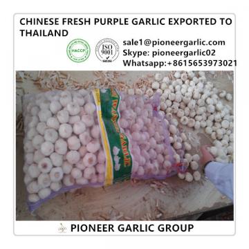 Chinese 5.0cm Fresh Garlic Exported to Thailand