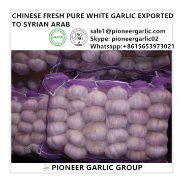 Chinese Fresh 5.0cm Normal White Garlic Exported to Syrian Arab Market