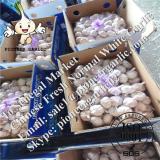 Chinese Fresh Normal White Garlic Exported to Senegal Market