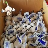 Chinese Fresh Pure White Garlic Exported to Turkey
