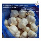 Chinese Fresh Red Garlic Exported to Dominican Republic Market