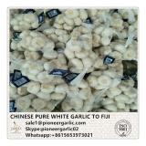 Chinese Fresh Pure White Garlic Exported to Fiji