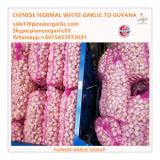 Chinese Fresh Normal White Garlic Exported to Guyana Market