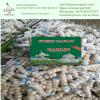 Chinese Fresh Pure White Garlic Exported to Honduras