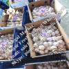 Chinese Fresh Normal White Garlic Exported to Senegal Market #1 small image