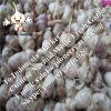 Chinese Fresh Normal White Red Garlic Exported to Indonesia #1 small image