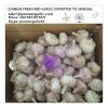 Chinese Fresh Red White Garlic Exported to Senegal Market #1 small image
