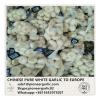 Chinese Fresh Pure White Garlic Exported to Europe #1 small image