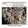 Chinese Fresh Normal White Garlic Exported to Tunisia Market #1 small image