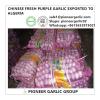 Chinese Fresh Normal White Garlic Exported to Algeria Market #1 small image