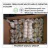 Chinese Fresh 5.0cm Snow White Garlic Exported to Egypt #1 small image