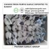 Chinese Fresh 5.0cm White Pure White Garlic Exported to Kuwait #1 small image