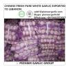 Chinese Fresh Red Garlic Exported to Lebanon Market #1 small image