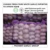 Chinese Fresh 5.0cm Normal White Garlic Exported to Syrian Arab Market #1 small image