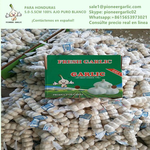 Chinese Fresh Pure White Garlic Exported to Honduras #1 image