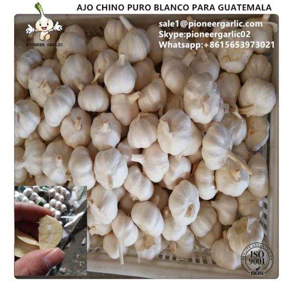 Chinese Fresh Pure White Garlic Exported to Guatemala #1 image