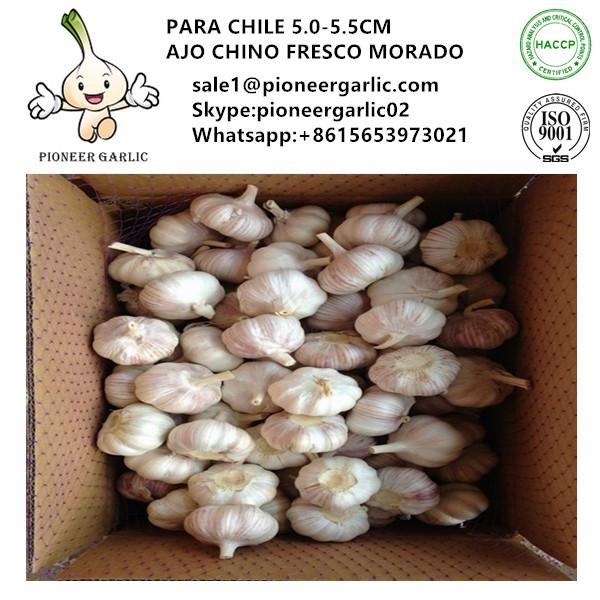 Chinese Fresh Normal White Garlic Exported to Chile #1 image