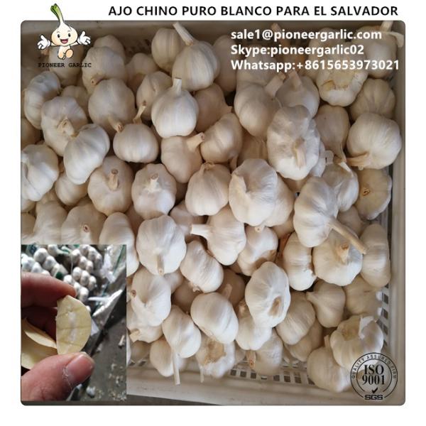 Chinese Fresh Pure White Garlic Exported to El Salvador #1 image