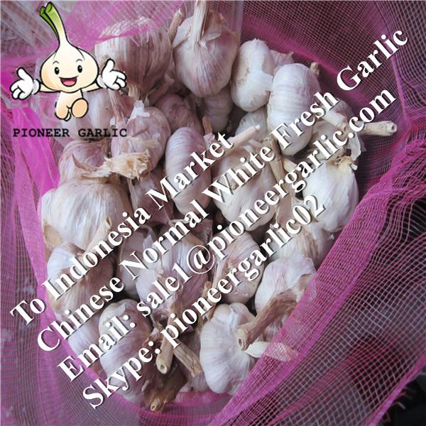 Chinese Fresh Normal White Garlic Exported to Indonesia #1 image