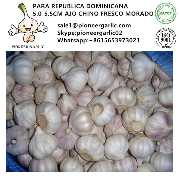 Chinese Fresh Normal White Garlic Exported to Dominican Republic Market #1 image