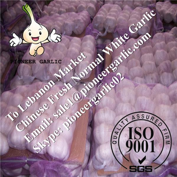 Chinese Fresh Normal White Garlic Exported to Syrian Arab Market #1 image