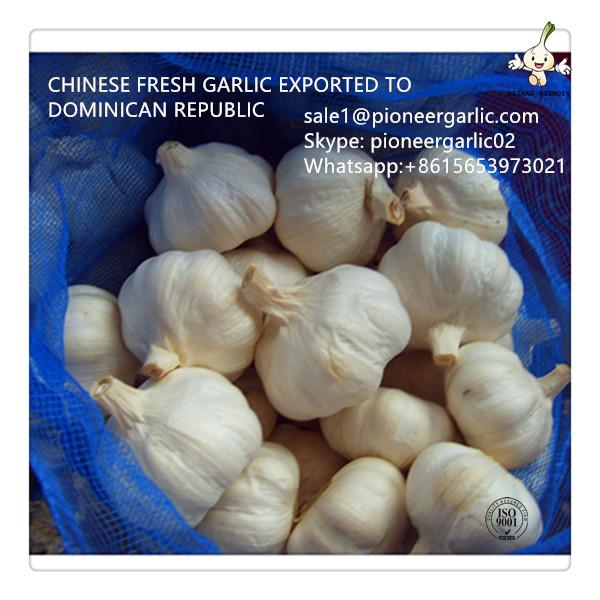 Chinese Fresh Red Garlic Exported to Dominican Republic Market #1 image