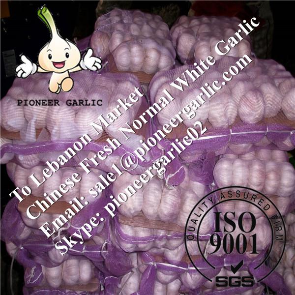 Chinese Fresh Normal White Garlic Exported to Syrian Arab Market #1 image