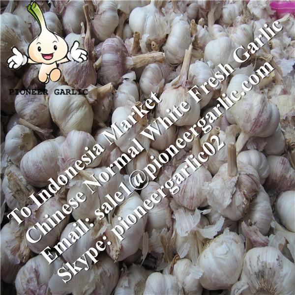 Chinese Fresh Normal White Red Garlic Exported to Indonesia #1 image
