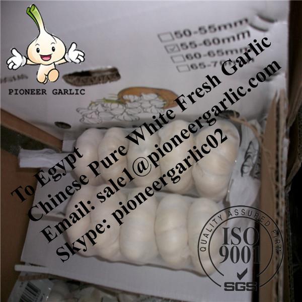 Chinese Fresh Snow White Garlic Exported to Egypt #1 image