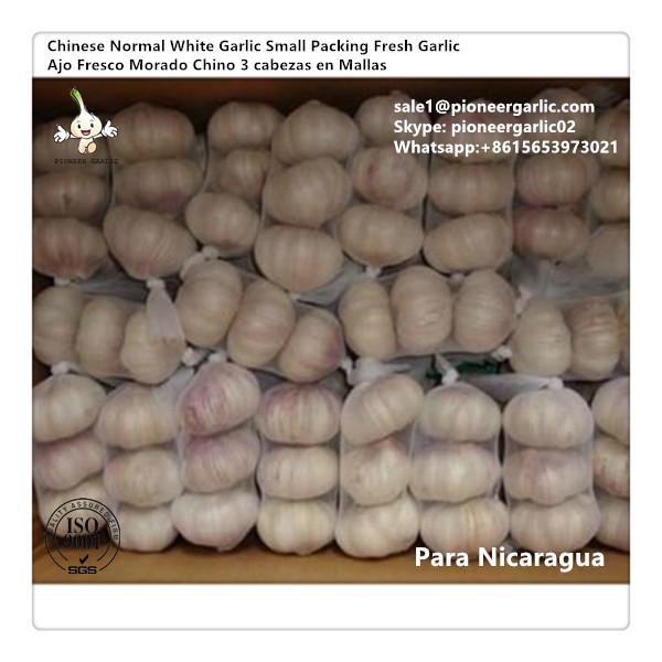 Chinese Fresh Snow White Garlic Exported to Nicaragua #1 image