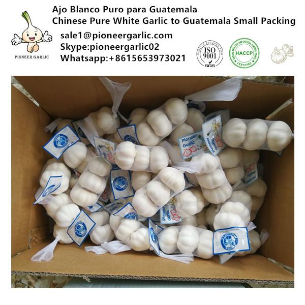 Chinese Fresh Snow White Garlic Exported to Guatemala #1 image