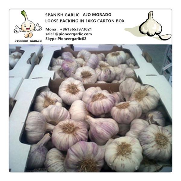 Spanish Fresh Normal White Garlic Exported to Worldwide #1 image