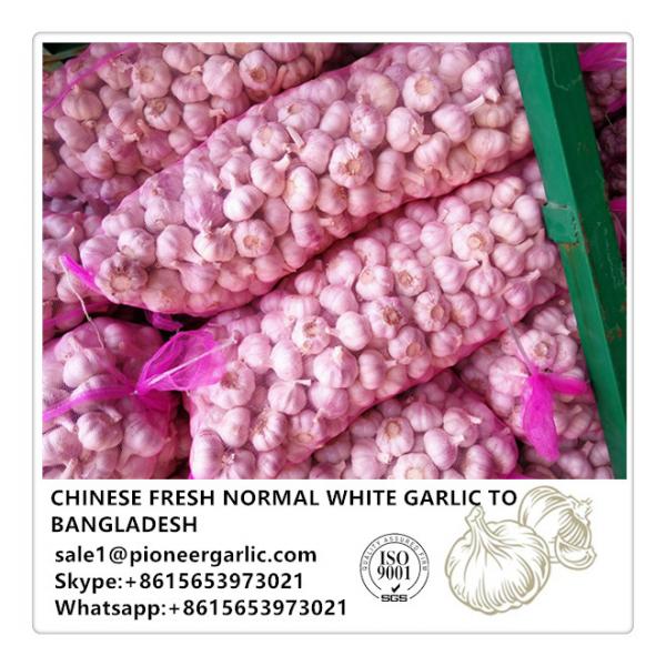 Chinese Fresh Normal White Garlic Exported to Bangladesh #1 image