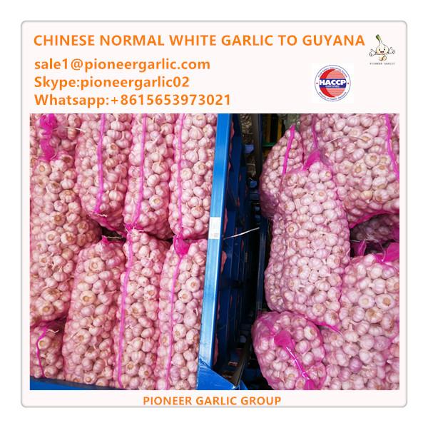 Chinese Fresh Normal White Garlic Exported to Guyana Market #1 image