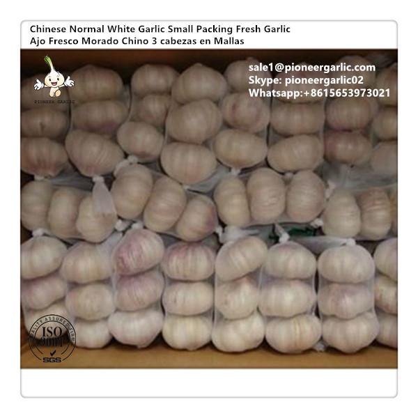 Chinese Fresh Purple Garlic Exported to Costa Rica #1 image