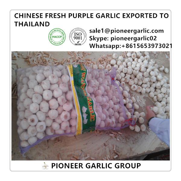 Chinese 5.0cm Fresh Garlic Exported to Thailand #1 image